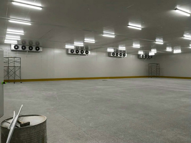 建造100平方冷凍庫需要多少錢？
